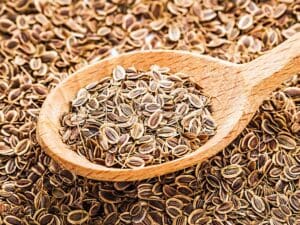 Background of dried dill seeds. Dill weed in wooden spoon.