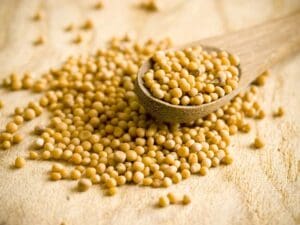 Mustard seeds